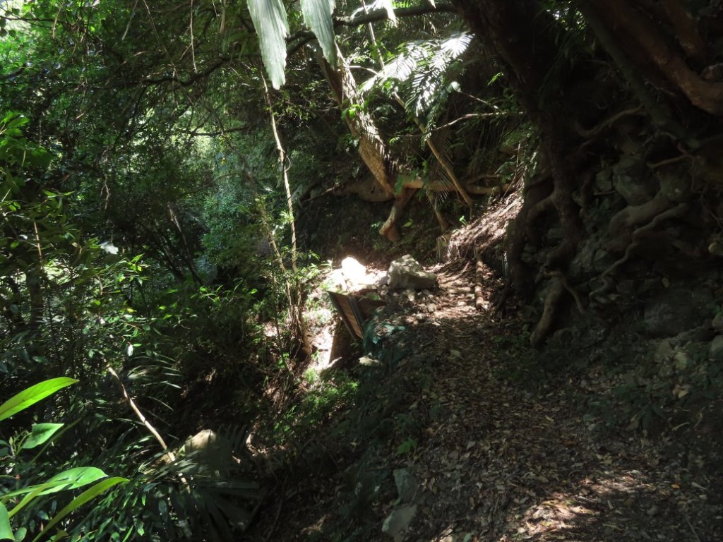 德芙蘭生態步道O形_2829448
