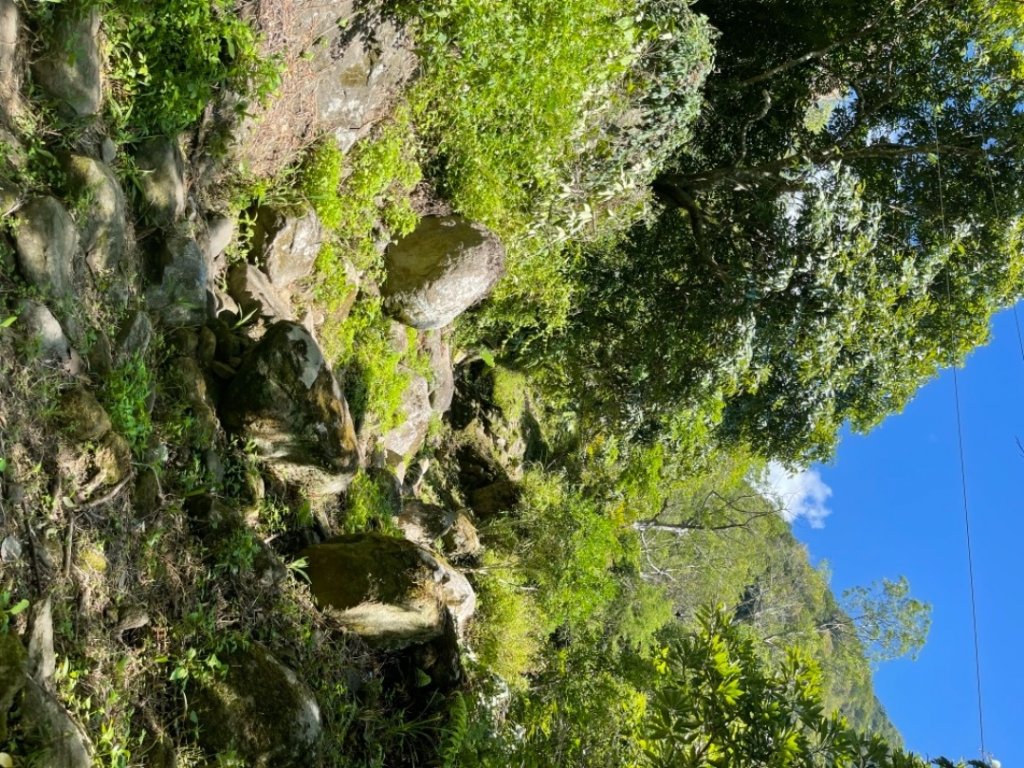 錐麓古道看斷崖和虎頭蜂_1480116