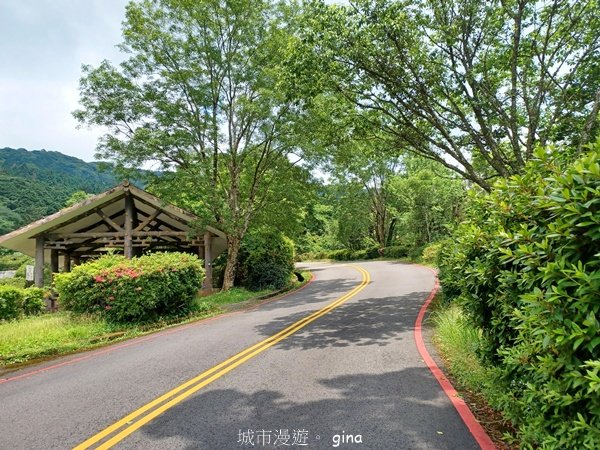 【桃園復興】台灣百大必訪步道。 東眼山森林遊樂區-東眼山自導式步道_2835912