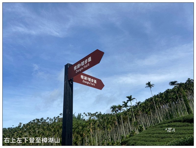 樟湖山 右上左下 (雲林、古坑)_2846304