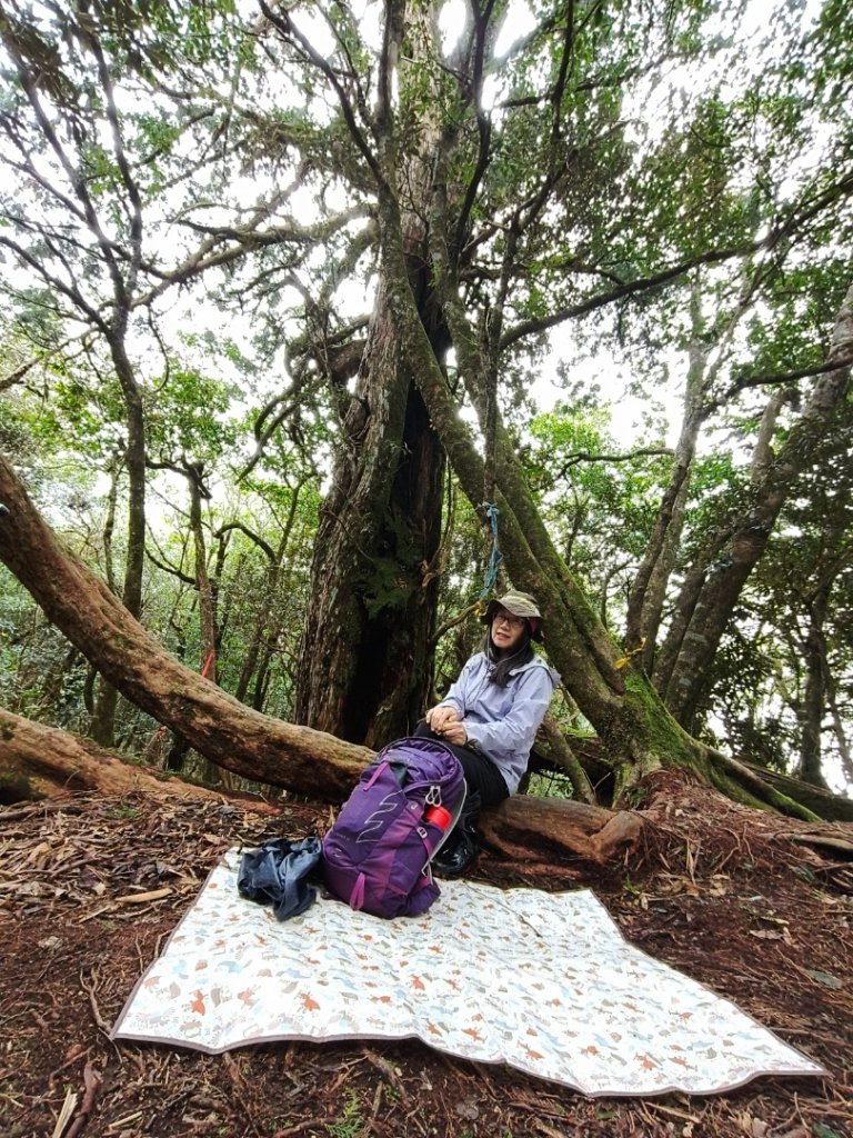 高島縱走20250215_2713797