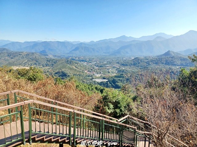 【南投魚池】郊山好視野。 金龍山(槌仔寮山)步道_2976297