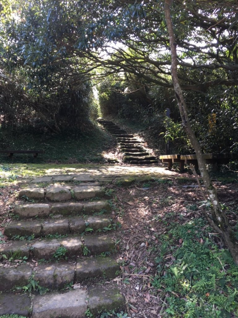 20200202_大屯山群峰_821934