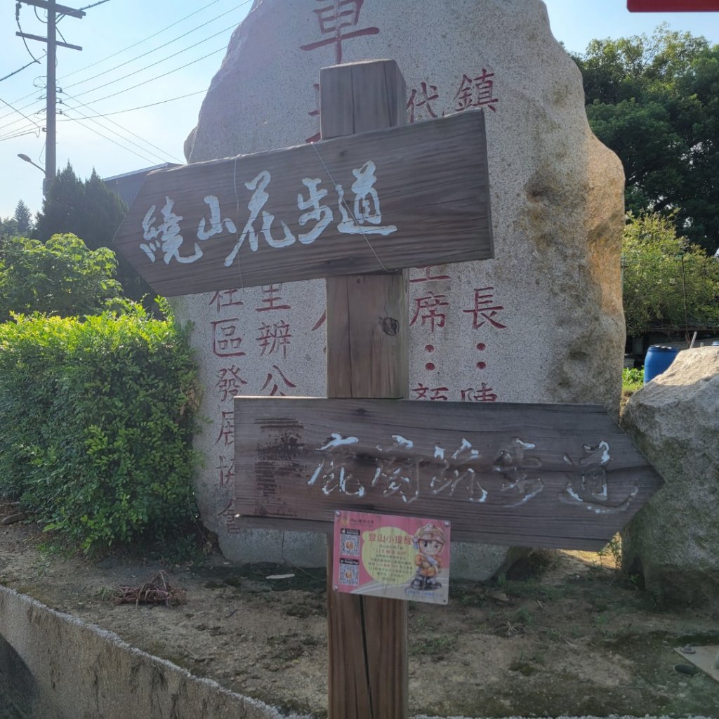 鹿廚坑桐花林步道_1812743