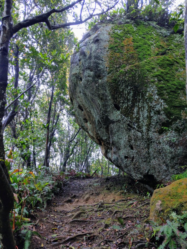 石牛山(小百岳)迷霧中登頂及陡坡探險之旅_903837