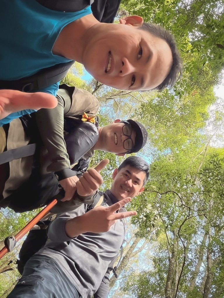 雪見遊憩區 探訪森林雪見大板根樹_2950861