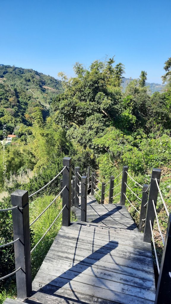 《台中》落雨松季｜石岡挑物古道O繞下情人木橋20250112_2687551
