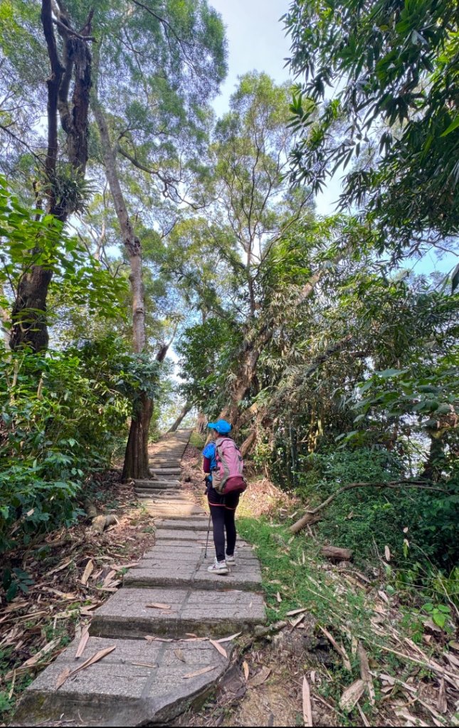 古坑地母廟走荷苞山(登山步道)訪小溪子山_2947130
