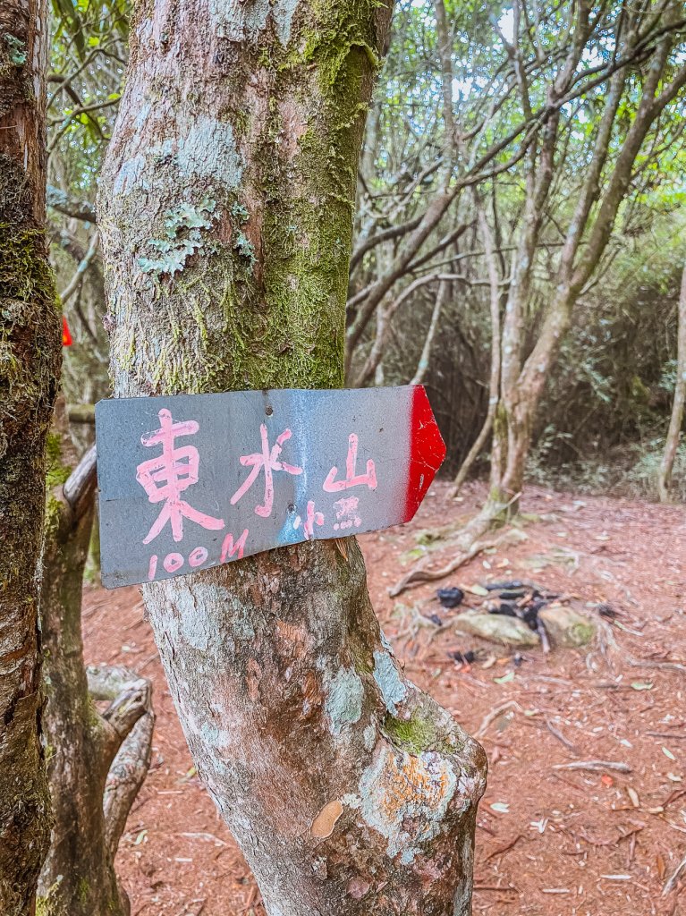 20200614-[嘉義] 自忠山，東水山。_1635874