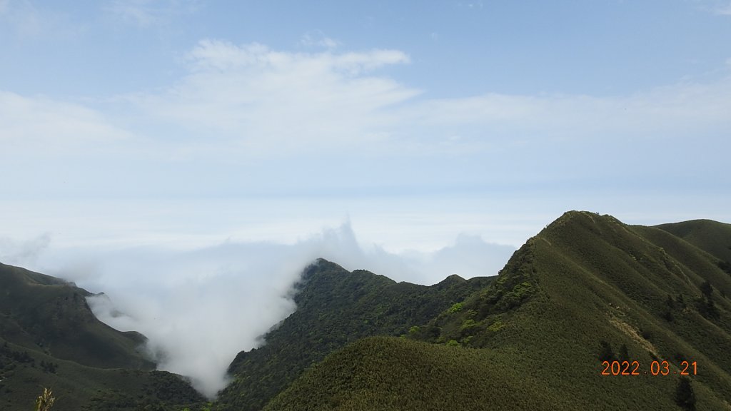 陽明山趴趴走，整天差強人意雲海封面圖