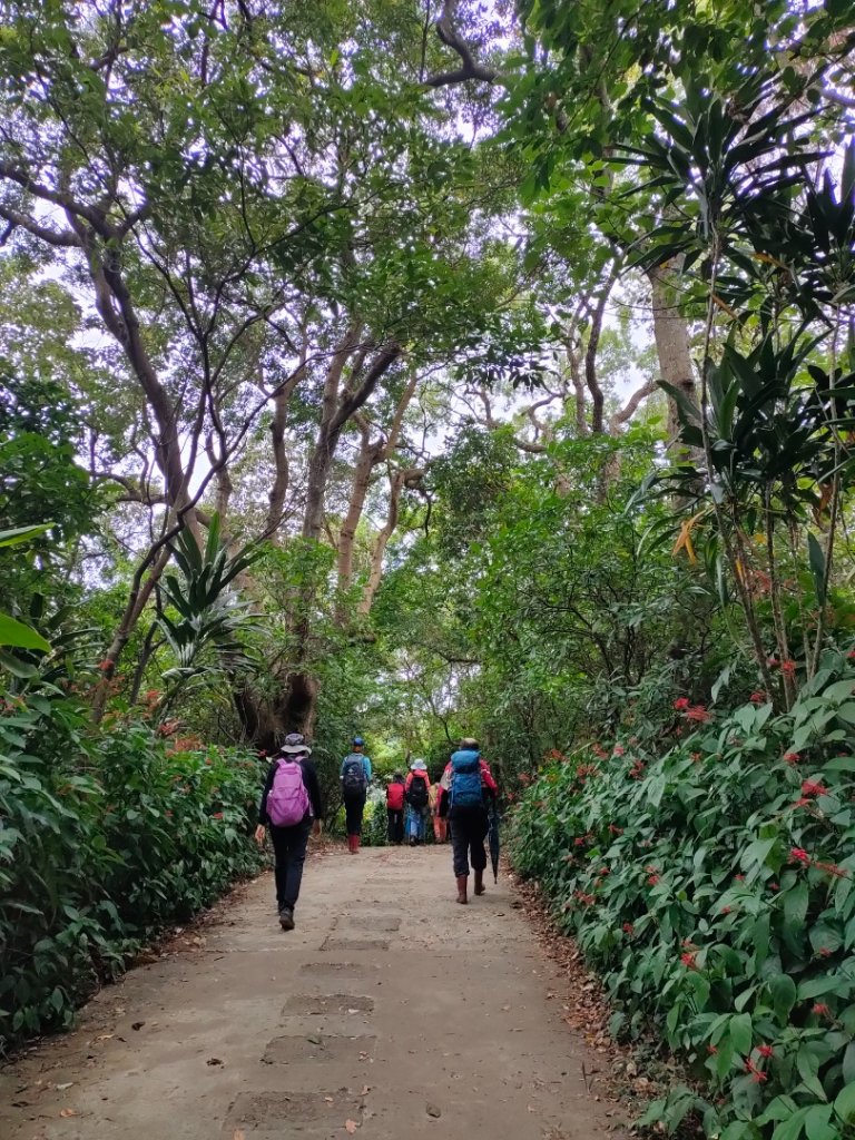 ［金劍縱走］（金面山~劍潭山）（2023/11/14）_2352864