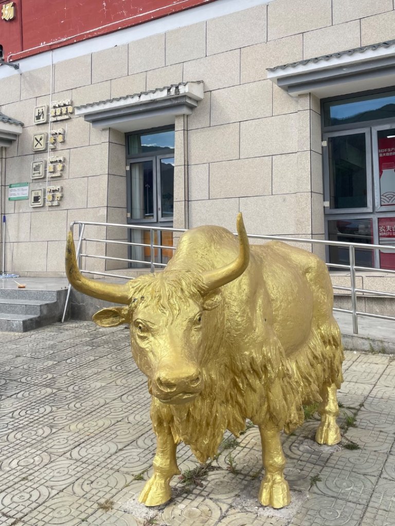 川藏深度之旅33天/A行程_2902870