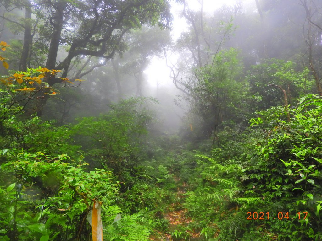 新北 坪林 東坑山、建牌崙山、梳妝樓山_1352067