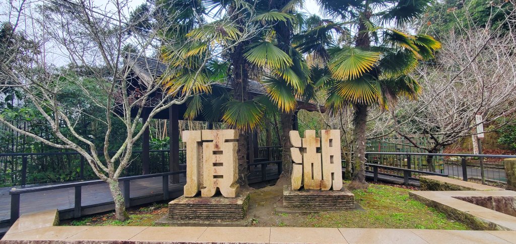 2025-01-18頂湖步道封面圖