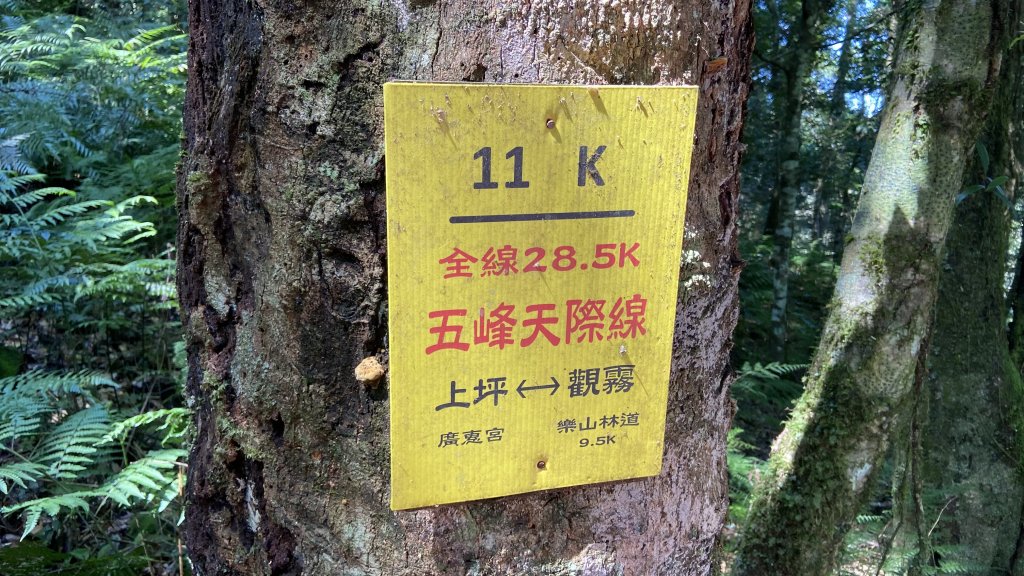 群鵝迎接的鵝公髻山_1852071