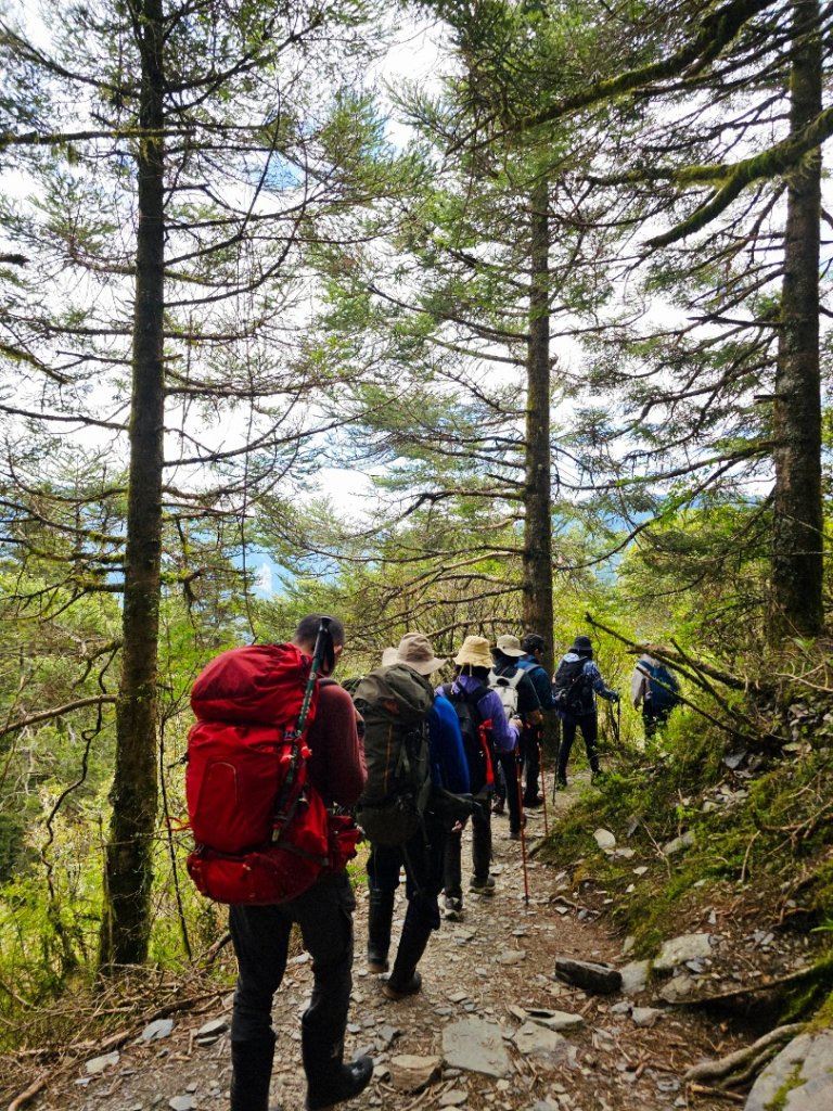 小奇萊步道-(南投)臺灣百大必訪步道_2795663