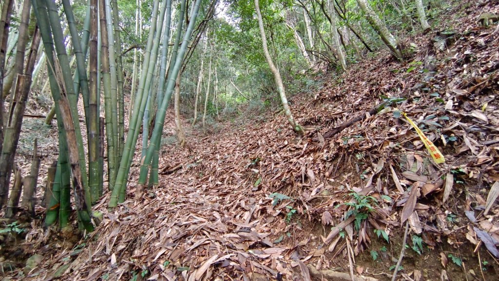 橫屏山/舊武界越山大O繞七連峰（埔里六秀之五+六）_1899162