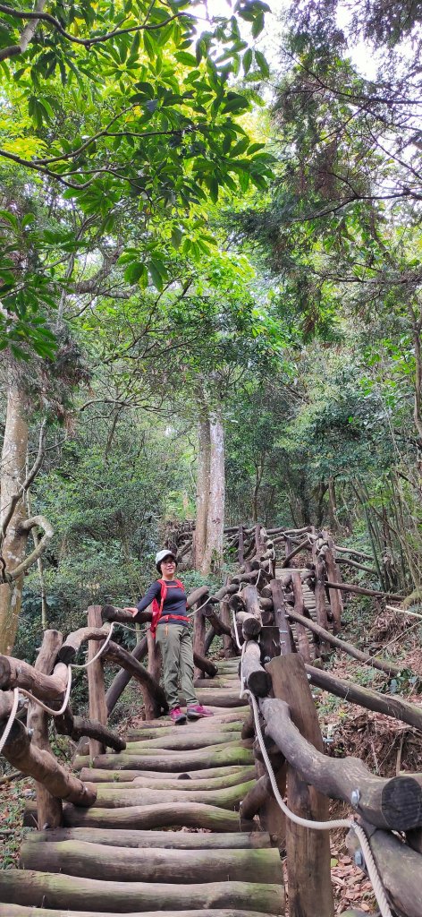 小百岳行~頭嵙山(台中市最高點)_908362