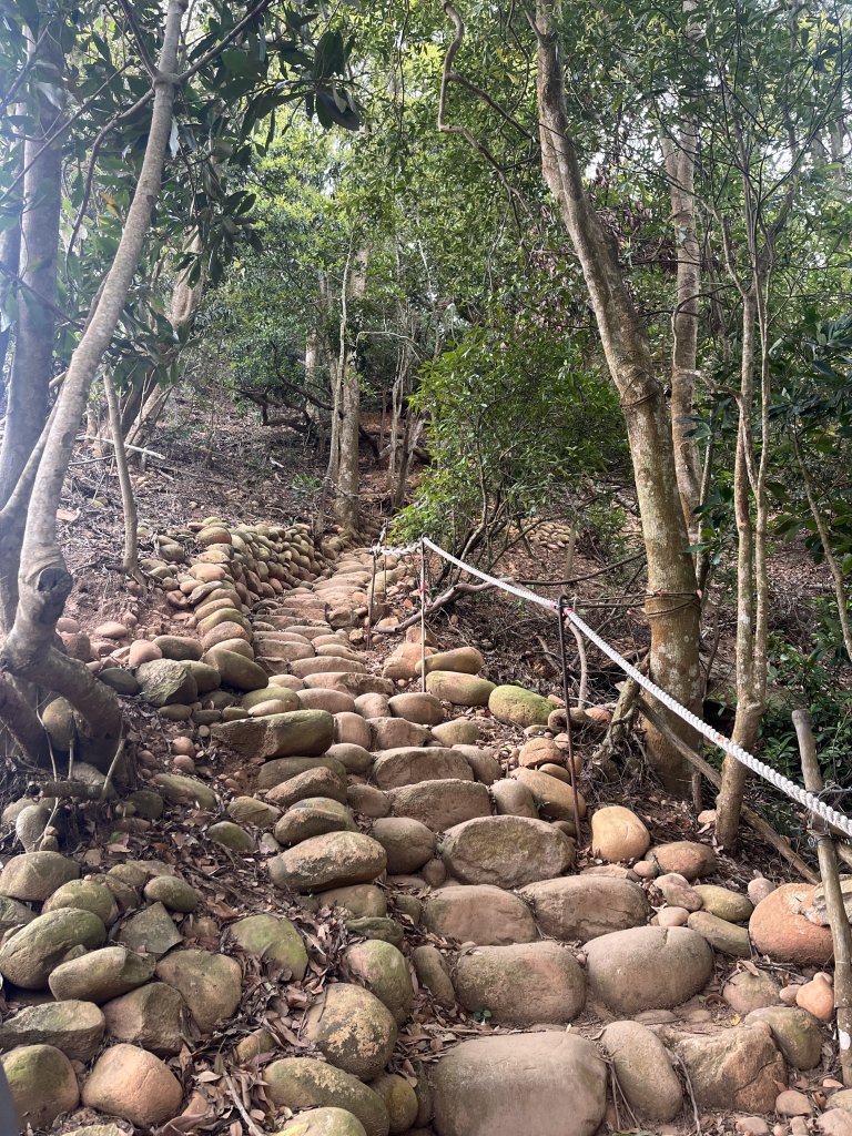 2024/03/29火炎山_2749031