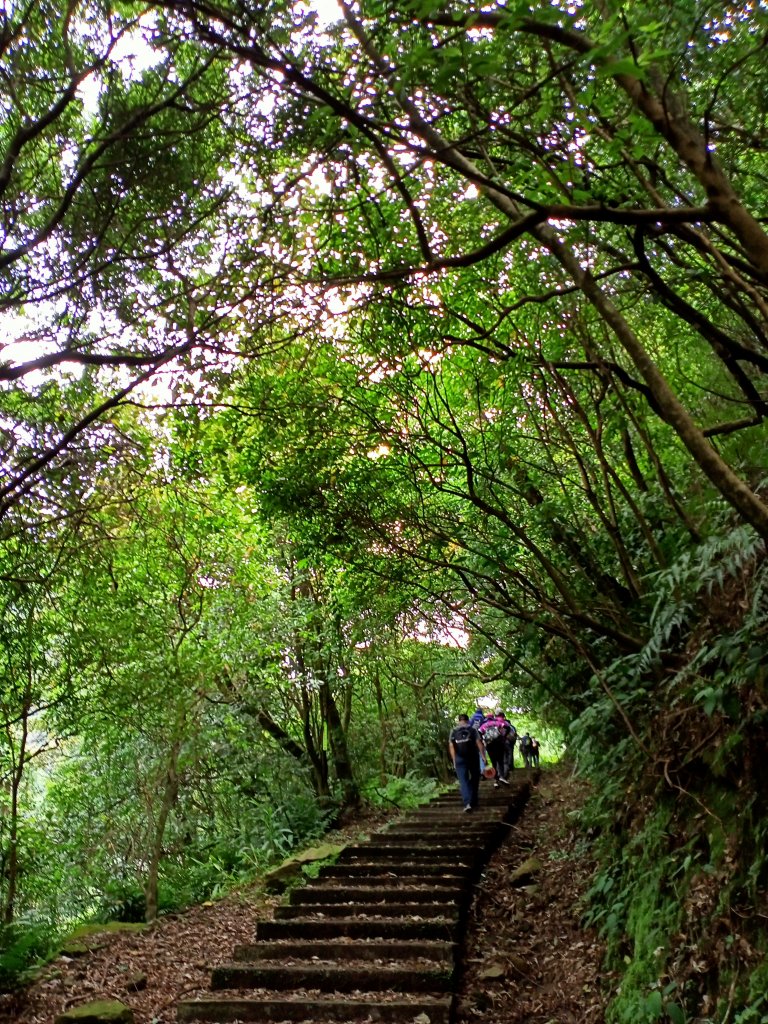 《山路迢遙的新北市雙溪區貂山古道、瑞芳區百二崁步道、金瓜石地質公園、黑肉坪、石尾路步道、黃金博物館》_1452326