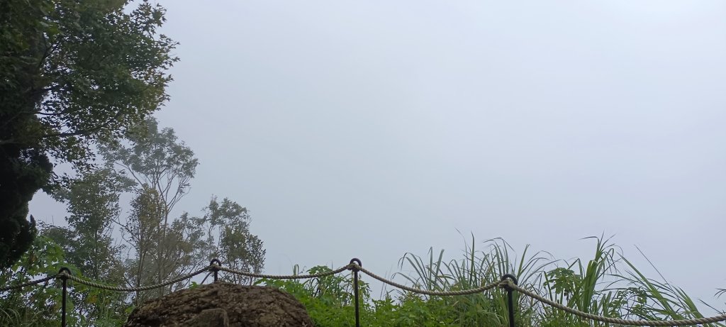 2024/08/18_馬那邦山步道_2576205