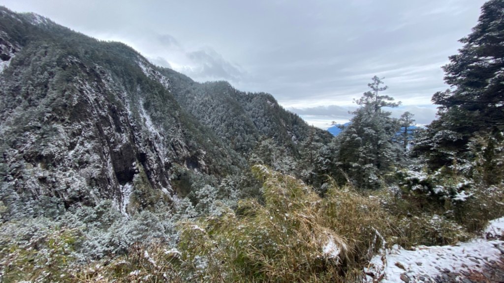 塔塔加-排雲山莊。驚喜滿分的糖霜雪景_1565789