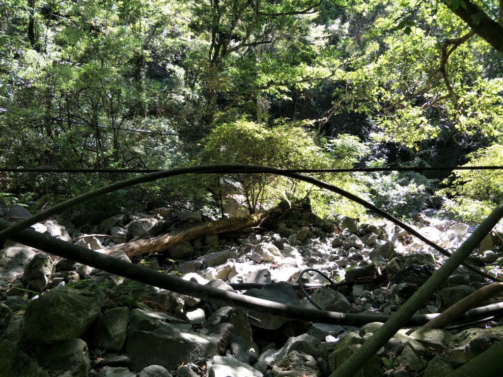 谷關七雄：屋東縱走-屋我尾山-麗陽上_1491986