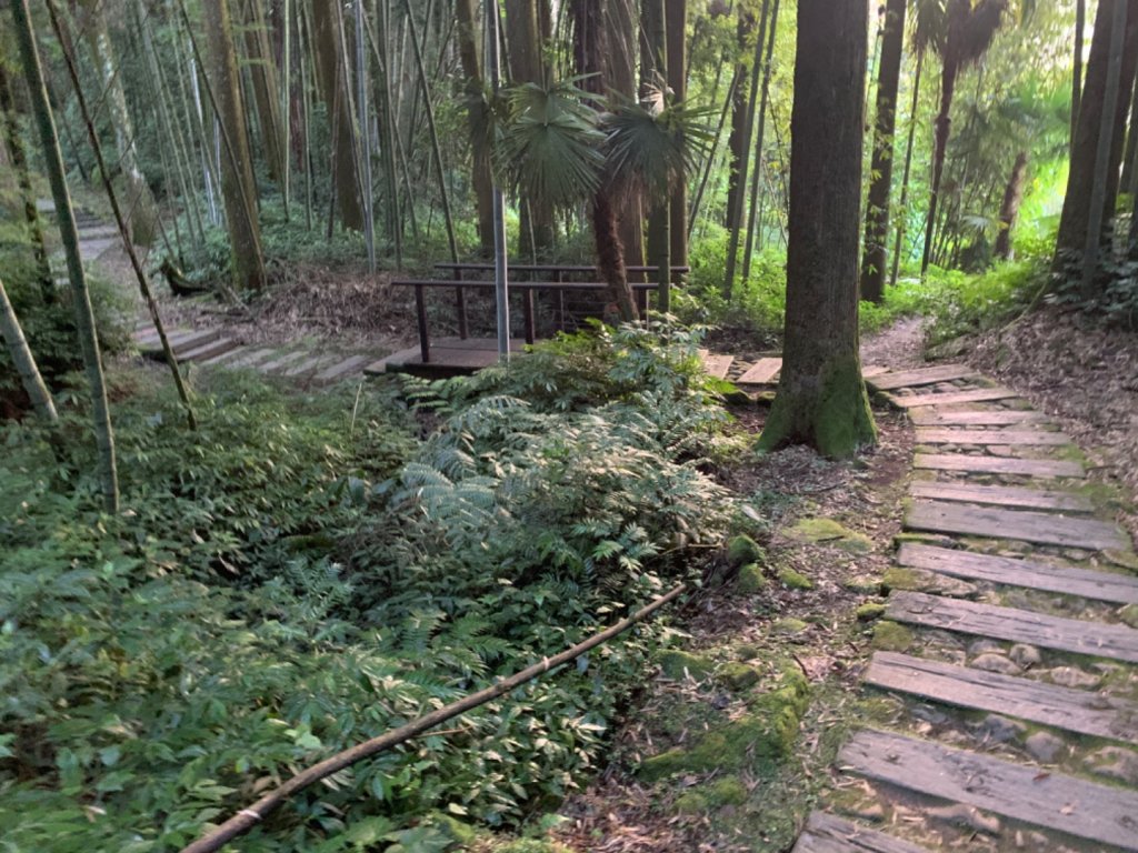 頂湖環湖步道_1117472