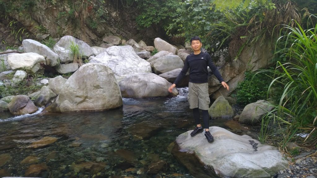 蝴蝶夢八仙_347893