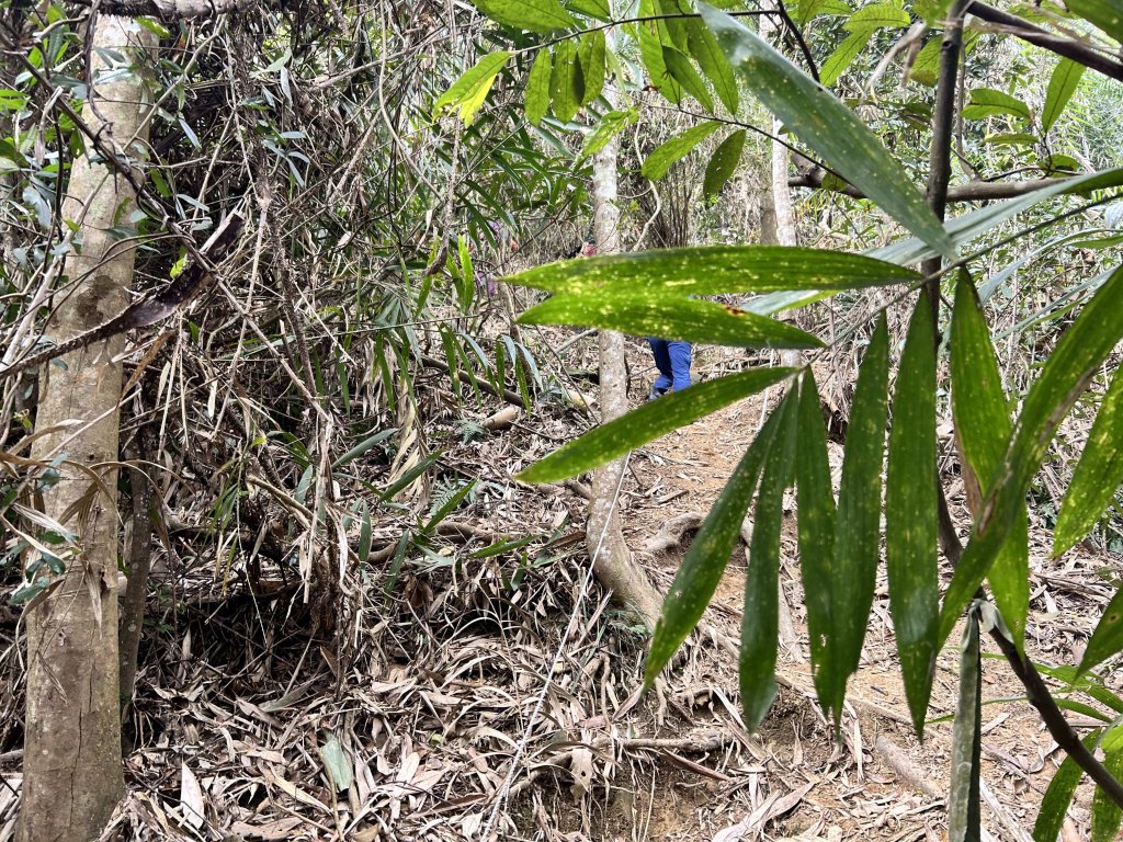 大橫屏山_2721460