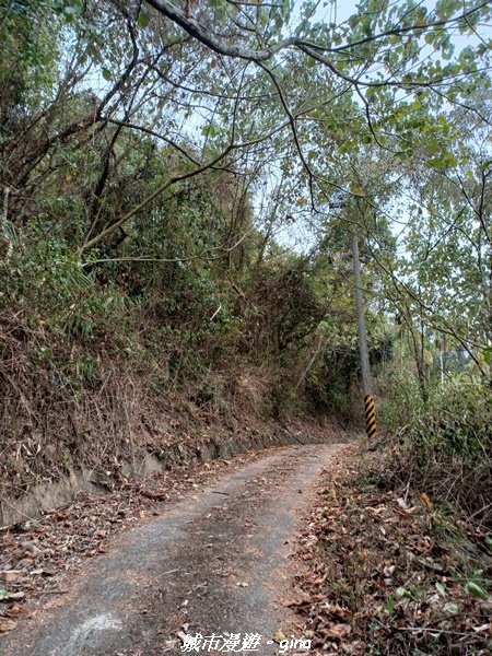 【南投國姓】兩個女生的山野包山行。 眉冷山步道x梅島山x眉冷山_2066621