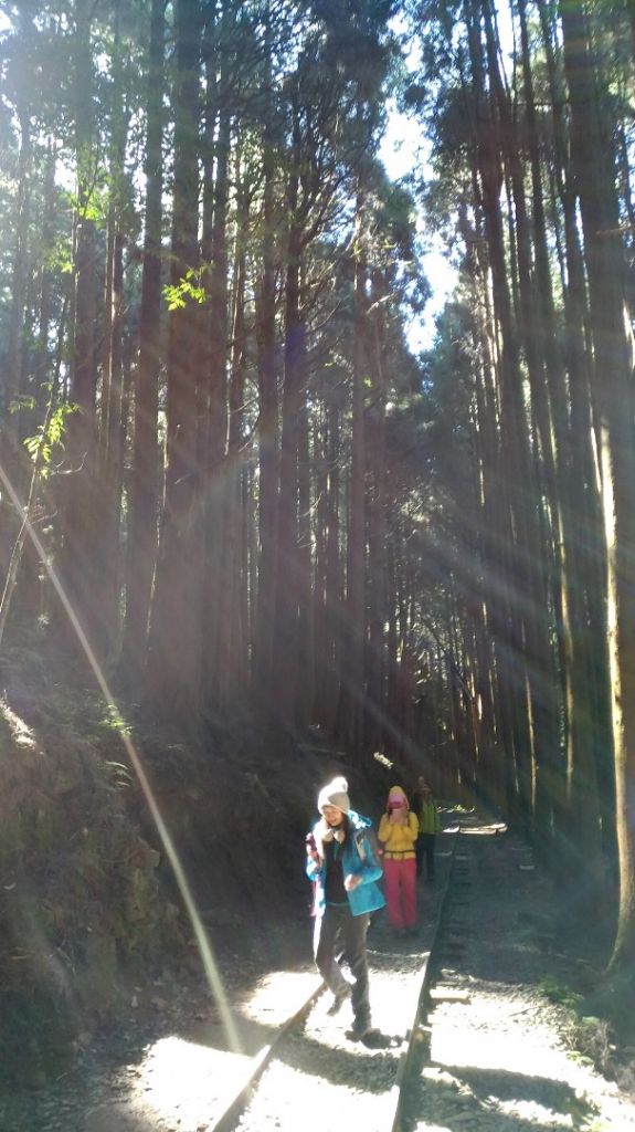 特富野悠閒散步之旅_222502