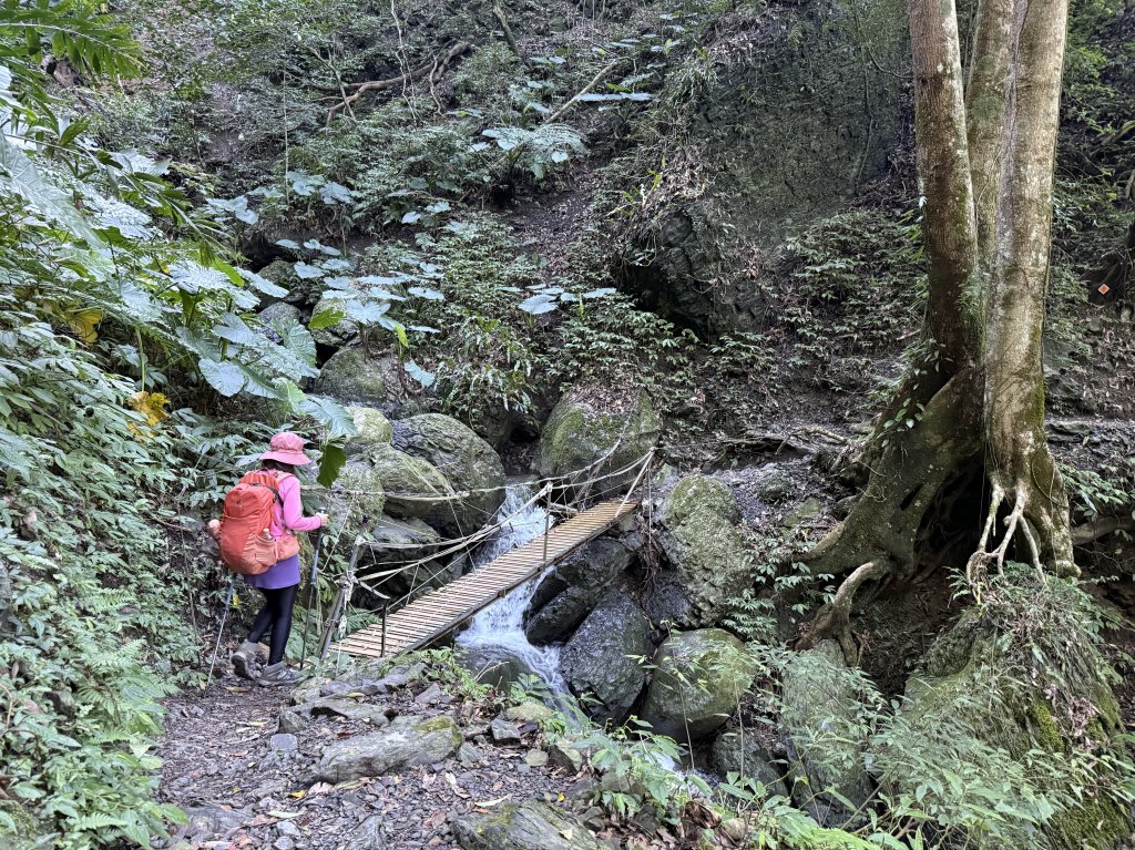 山毛櫸掉光光的 卡保逐鹿O繞 20251115_2937445