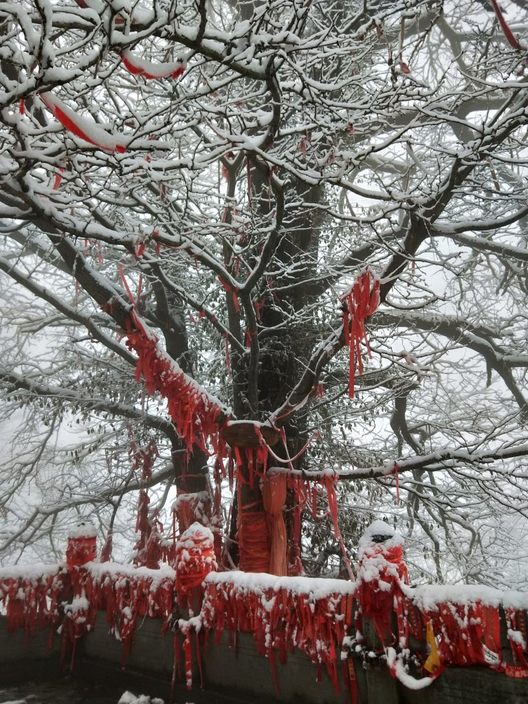 湖北武當山:玄天上帝廟-南岩宮_2921895