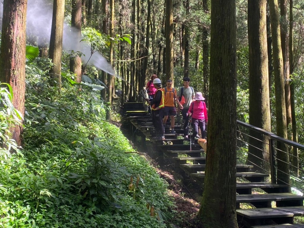 奮起湖環狀步道、麻竹湖步道_2638112