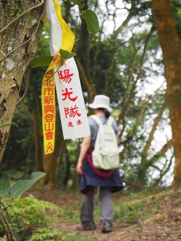 《苗栗》三義挑炭古道(三通嶺古道)O型封面圖