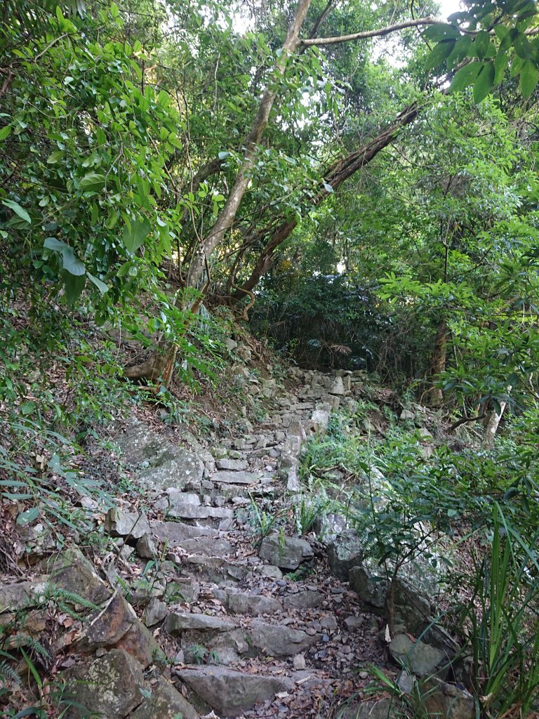 唐麻丹山_2790137