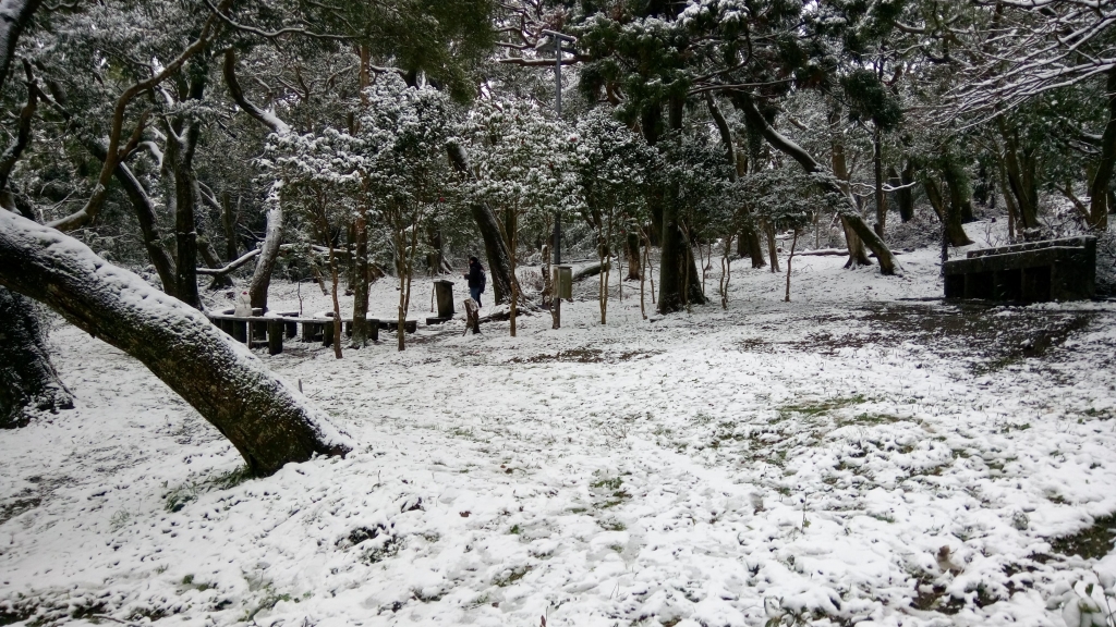 陽明山遊客中心，童軍活動中心賞雪趣_30075