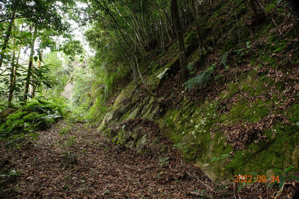 南投 國姓 眉冷山_1855256