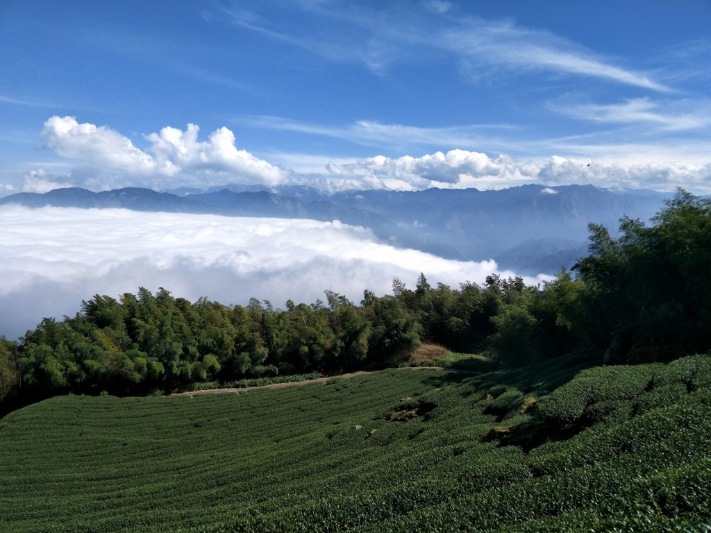 2018 11 22 挑筍古道(大尖山、後棟仔山步道)_463853