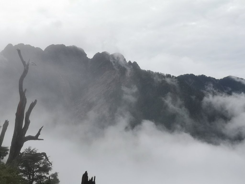 2019/08/19~20玉山前五峰_655938