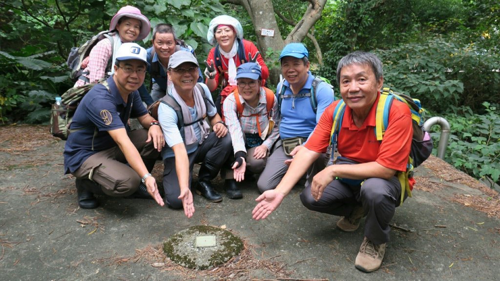 七星主東芒花盛開_461306