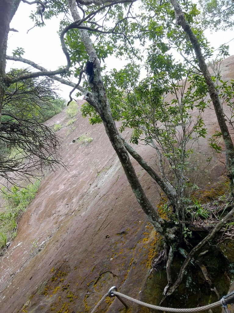 五寮尖 O 型之旅_396762