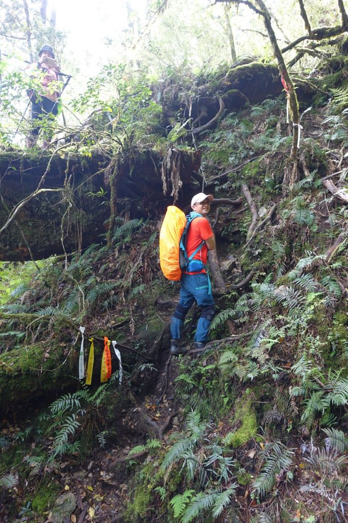 塔曼山，玫瑰西魔山 106.5.7(日)_128613