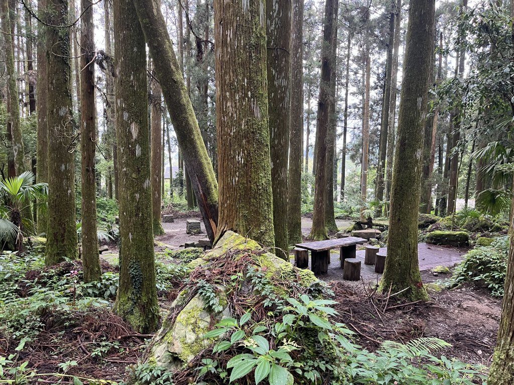 [嘉遊好步道．來嘉走走-04/10] 2024_1011 阿里山頂湖步道_2624678