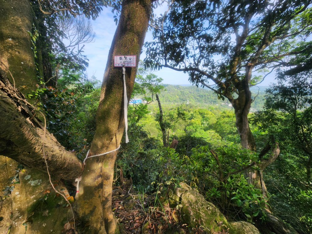 20250419蕩跋山劉家界山老社寮山新富山_2936216