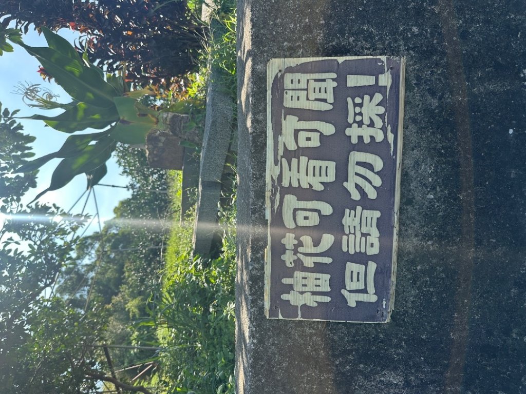 苗栗西湖-柚子山步道_2615584