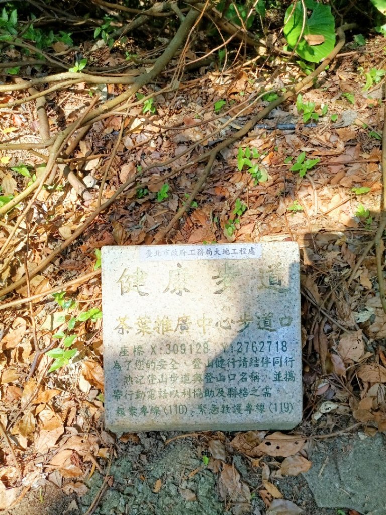 大縱走第七段-茶香縱走_1474567