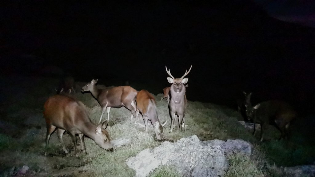 奇萊東稜-太魯閣大山補考行10/1-4_1138014