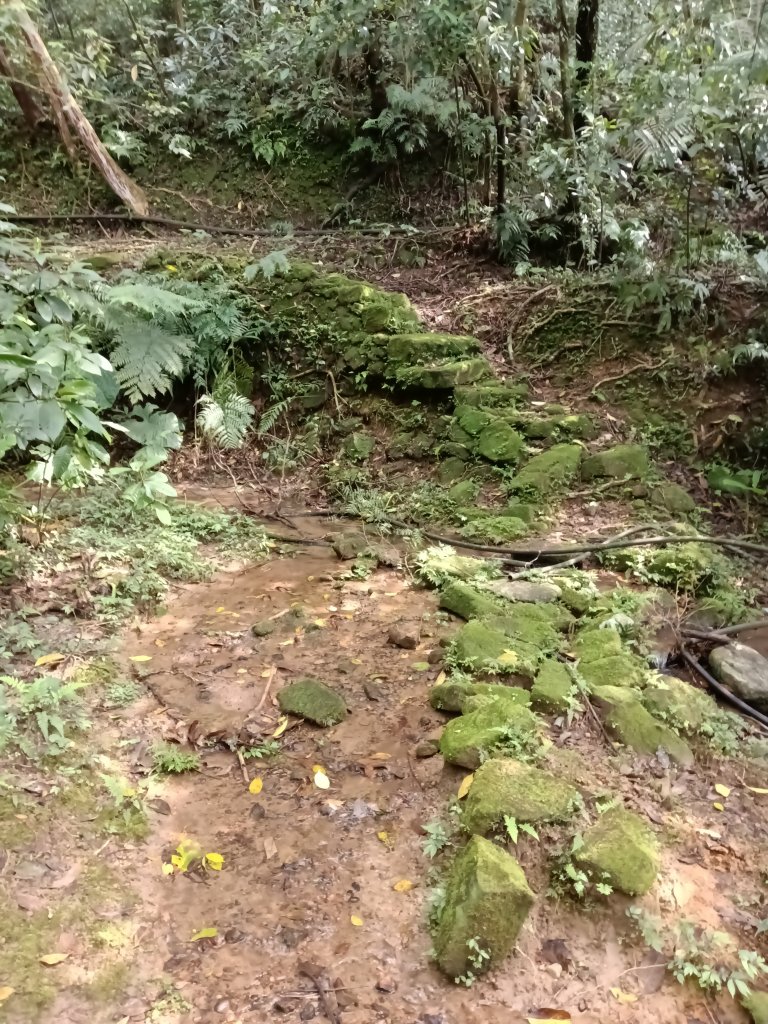 雙溪區三叉港+遠景古道+楊廷理古道+雞母嶺街O型_2758631